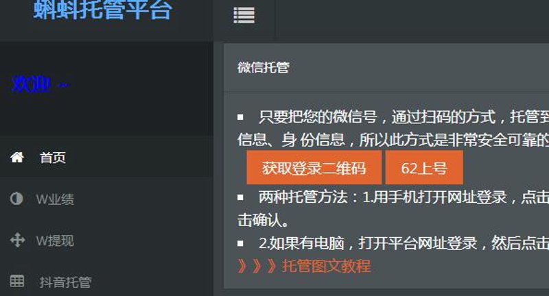 构建电商王国:站群系统的崛起与创新