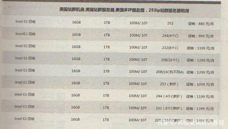 站群系统：构建网络新高地